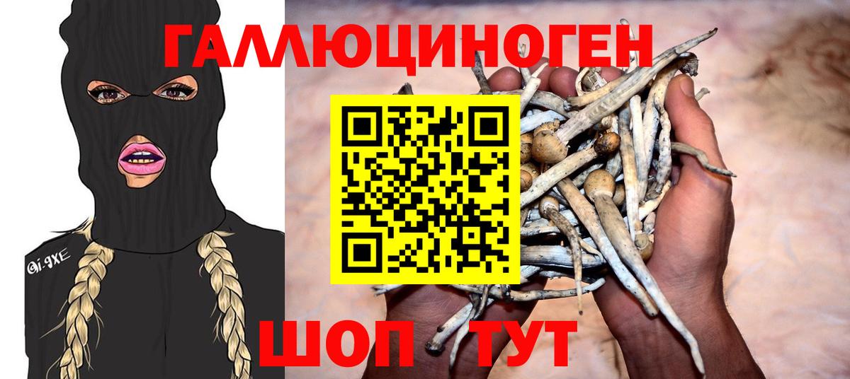 Псилоцибиновые грибы Magic Shrooms Чернушка